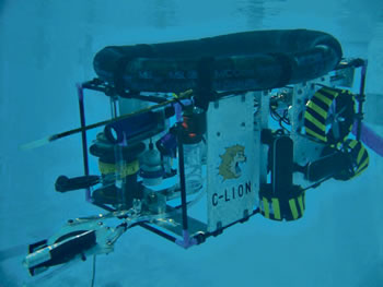 120613_1 ROV
