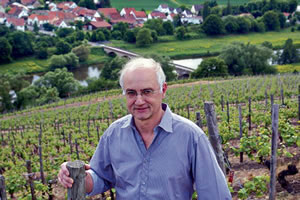 vino
