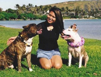 A Spa-cial Place For Pooches