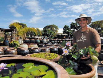 Garden Elements And Classes Too
