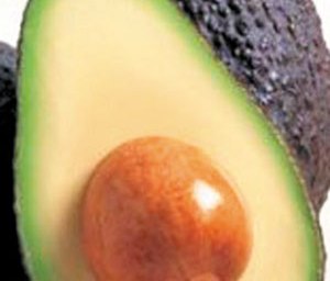 The Goodness Of A Good Avocado