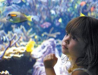 Aquarium Celebrates 110 Years
