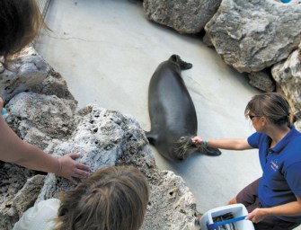 The Science At Sea Life Park