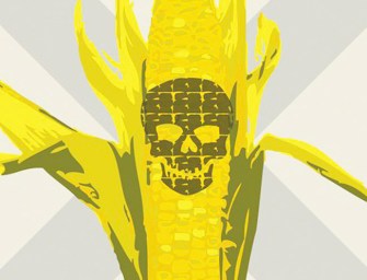 Say No To GMOs: Folly Or Fact?
