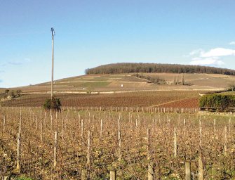 Touring And Tasting The South Of France