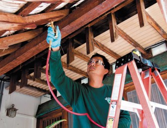 ‘Akamai’ Termite Treatments