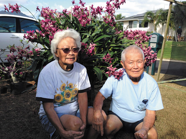 As veteran orchid growers and great fans of the dendrobium Violet Yamaji 'Nalo' (pictured), Emily and Walter Yamada have plenty to share with the crowds at the annual Windward Orchid Society show this weekend at King Intermediate School. Photo by Karen Kim.