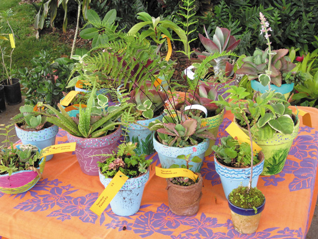 More than 400 plants, including many in decorative pots like these (made last year by Lani-Kailua Outdoor Circle member Annetta Kinnicutt), will be available Saturday at the LKOC spring plant sale. Photo courtesy of LKOC.