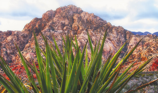 Take a side trip to amazing Red Rock Canyon the next time you go Vegas. Jade Moon photo