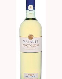 So Many Questions For Great Vintners