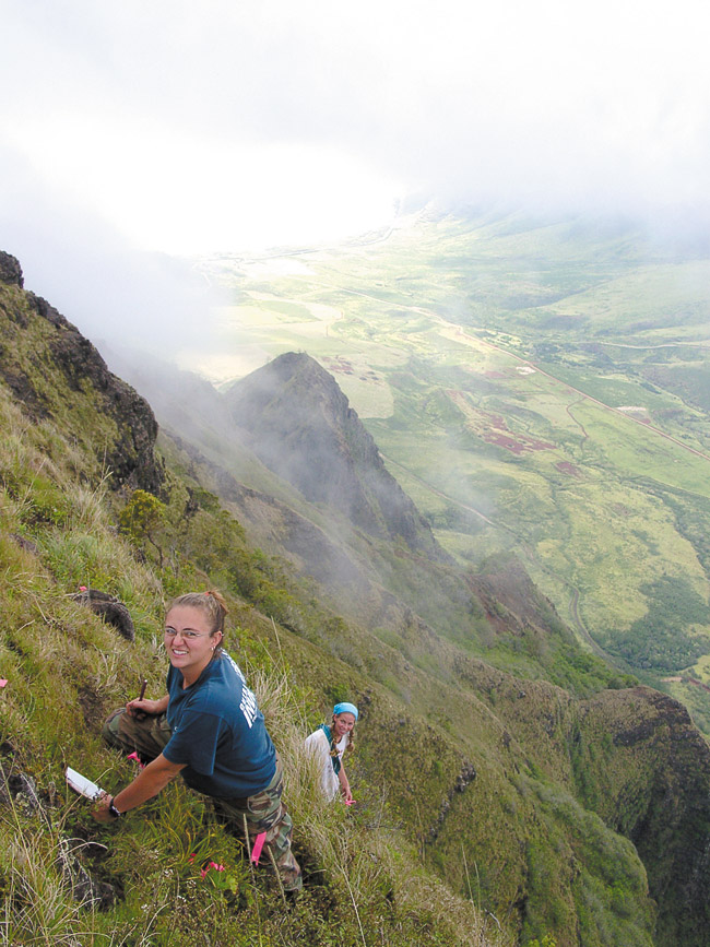 Jane Beachy, manager of ecosystem restoration for the Oahu Army Natural Resources Program, monitors the endangered Sanicula mariversa plants along the Ohikilolo Ridge above Makua Valley Military Reservation. U.S. Army photo.