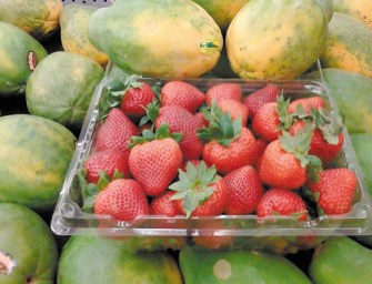 The Sweetness Of Springtime In A Salad