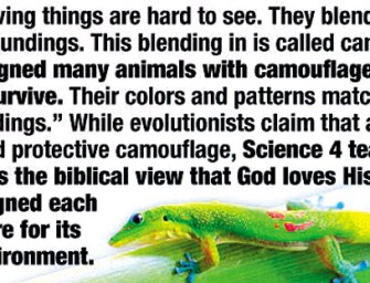 Keep Religion Out Of Science Education