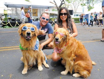 Focus on Windward Oahu