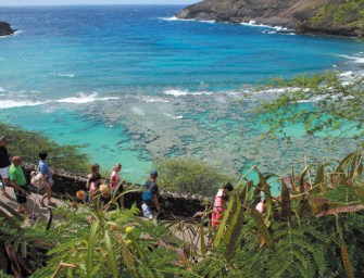 Focus on Windward Oahu