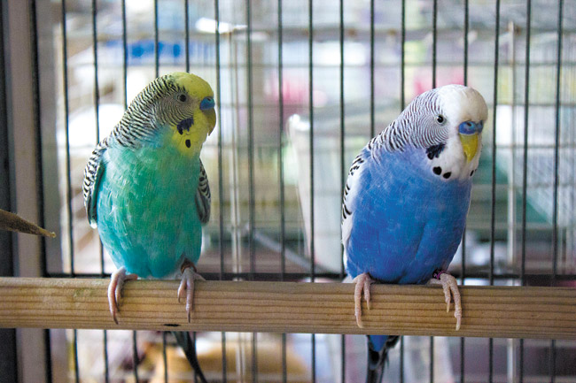 MW-PFF-070914-Keely-and-Blue