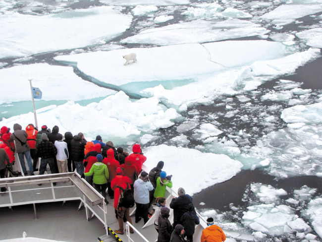 Grosvenor Teacher Fellows and other passengers aboard the National Geographic Explorer spy a polar bear among the Arctic icebergs in June. On separate voyages, the expedition brought a total of 25 selected educators, including Star of the Sea's Cristina Veresan, into a new dimension and gave them inspiration to take back to the classroom. Photo from Cristina Veresan.