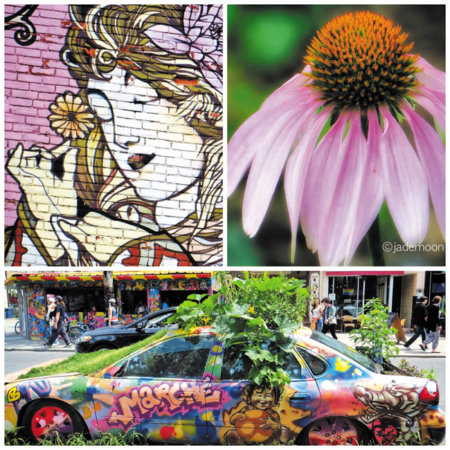 A few views of Kensington Market in Toronto. JADE MOON PHOTO COLLAGE