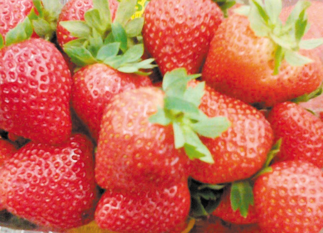 Strawberries are a versatile fruit. DIANA HELFAND PHOTO