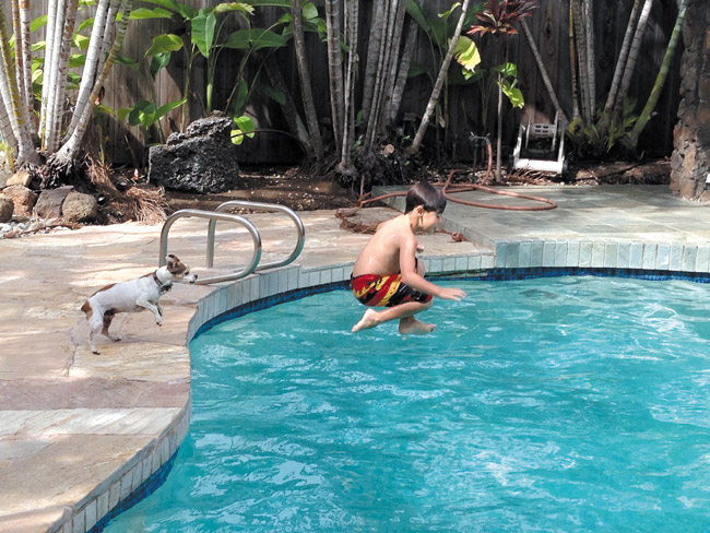 Pronto and Kaimana are as close as 'brothers'. TANNYA JOAQUIN PHOTO