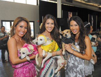 Celebrities and Their Pets Fashion Show