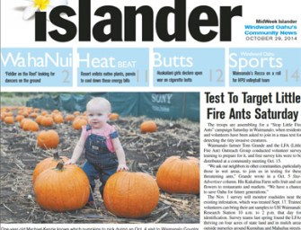 Test To Target Little Fire Ants Saturday