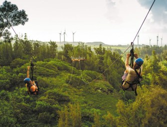 Zipping Along The North Shore