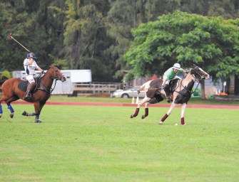 Focus on Windward Oahu