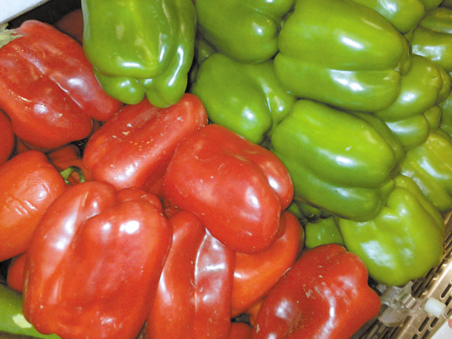 Red and green bell peppers add a bright holiday color theme to dishes and are a good addition to your diet, to help achieve new year health and fitness goals DIANA HELFAND PHOTO