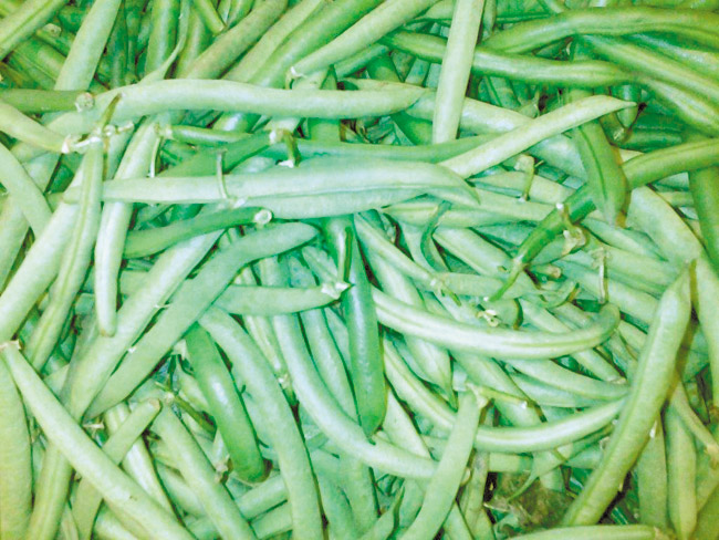 Find the freshest green beans for this salad DIANA HELFAND PHOTO