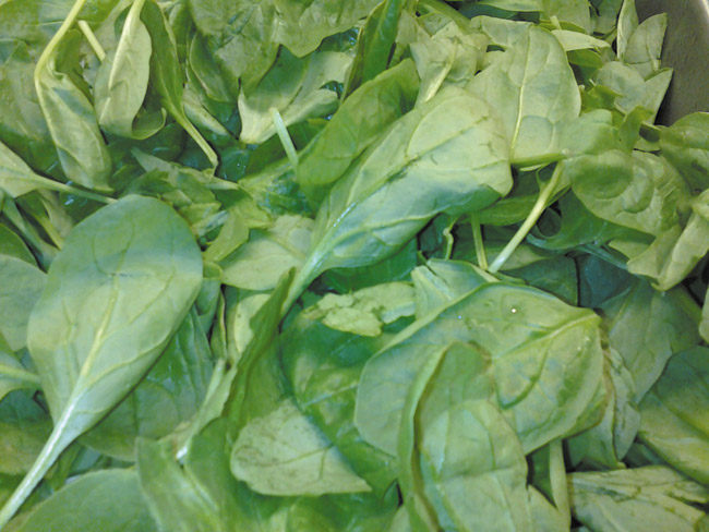 Fresh spinach is vitamin-rich and high in fiber DIANA HELFAND PHOTO