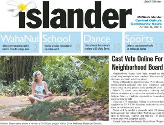 Cast Vote Online For Neighborhood Board