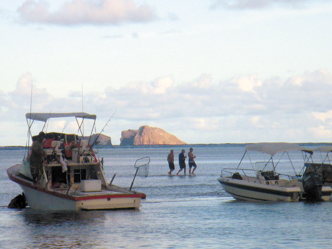 Ahu o Laka, aka Kaneohe sandbar, is a popular place on weekends NATHALIE WALKER PHOTO