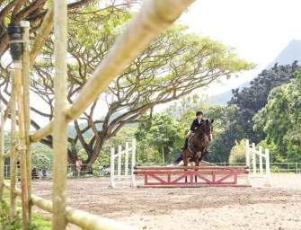 Focus on Windward Oahu