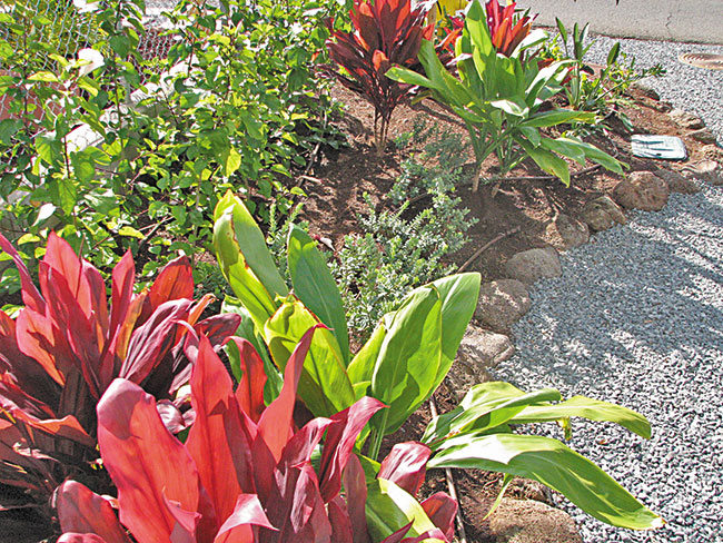 Halawa Xeriscape Garden hosts a gardening workshop May 23 featuring five steps to maintaining a beautiful garden. PHOTO COURTESY HALAWA XERISCAPE GARDEN.