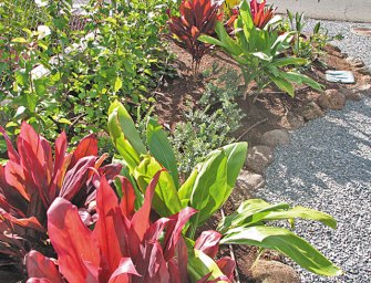 Xeriscape Garden Offers ‘Simple’ Tips