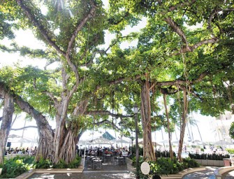 The Moana Turns 115