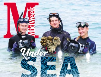 Under the Sea