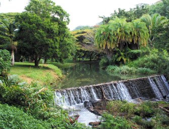 Music To Mother Nature’s Ears